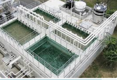 Biological Wastewater Treatment Plant